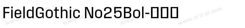 FieldGothic No25Bol字体转换